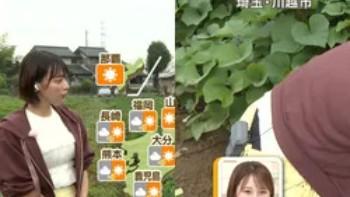 今井春花！パンチラ画像！しゃがんだ瞬間黒のパンツがちらり！