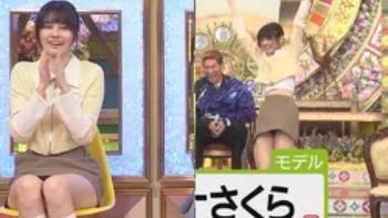 アリアナさくらがプレバト!!で大胆パンチラ ！