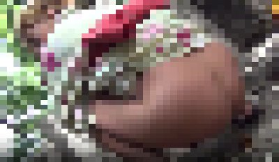 【色気が生まれる】様々な女の子達が浴衣で野糞している・・・（激推し動画）