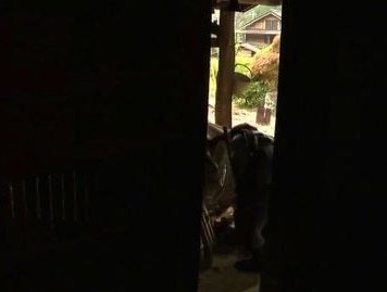 いくつになっても性欲は枯れないもの…年を経て更に感極まったとろける熟女たち