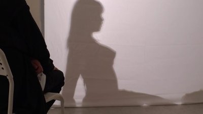 中で何やってるのかを彼氏が当てるシルエットクイズがエロい