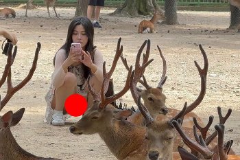 【画像】奈良公園、パンツ丸見えで工ロすぎるｗｗｗｗｗｗｗｗｗｗｗ