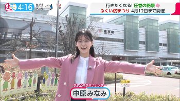 中原みなみアナ　お花見レポート！