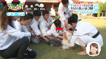 【画像】柔道ＪＫさん、テレビ生放送でがっつり胸チラしてしまうｗｗｗｗｗｗｗｗｗ