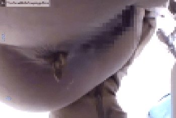 【公衆トイレ】狭い個室へ一緒に入り、女の排泄姿を近距離で眺め続ける臨場感ある映像（和式トイレ動画）