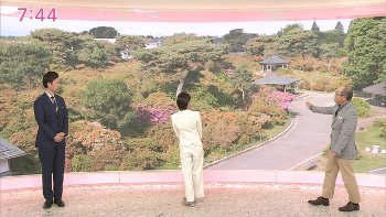赤木野々花アナ　おはよう日本
