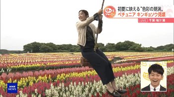 岩﨑果歩アナ　股間にブランコのロープを挟む！！【GIF動画あり】