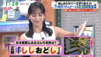 石渡花菜アナ　ノースリーブで脇全開！！