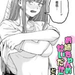 お姉ちゃんのせいだから