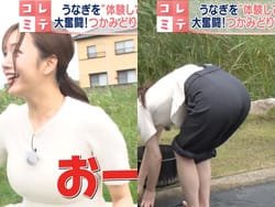 oha!4コレミテで刈川くるみアナがデカケツ向けてパン線丸出し放送事故