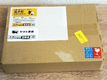【ブラダス2】ムチムチウェディング水着で部屋のドスケベ濃度が急上昇！