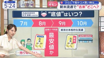 三山賀子アナ　巨乳くっきり！！【GIF動画あり】