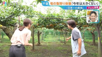 佐々木舞音アナ　セクシー食レポ！！