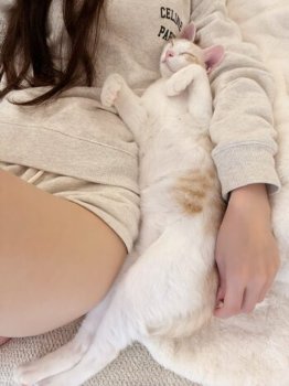 【画像】ダレノガレ明美に保護された野良猫、幸せそうな余生を送る