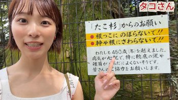 【画像】今井春花キャスター　ノースリーブからブラ紐がはみ出すハプニング！！【GIF動画あり】