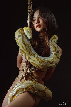【SM写真】蛇を愛した女－静寂の中の秘め事－